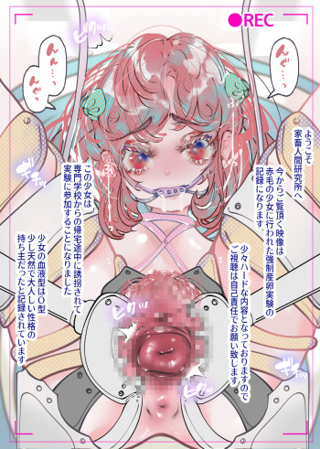 [Akari Koubou] Shoujo yuukai jikken vol. 29: Ningenkachikukenkyujo gijiran no kyouseisanranjikken wo ukeru onnanoko kurirido kyoseizetchosampo cover