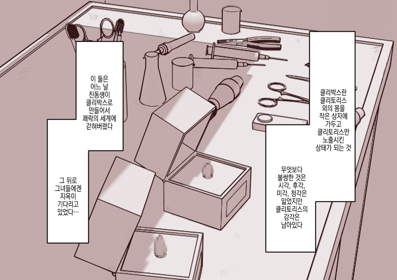 Cli Box ni Batta Onee-chan-tachi no Cli o Ijiri Taosu | 클리박스가 된 언니들의 클리를 마구 희롱한다 page 3 full