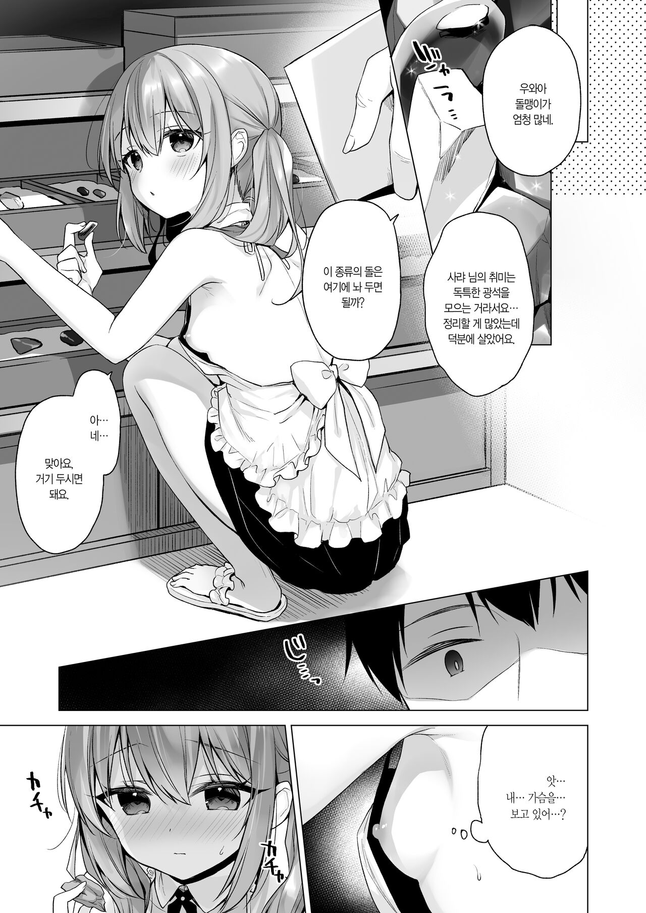 Daten Keikaku - Mou Hitori no Shugosha Hen | 타천계획 또 하나의 수호자 편 page 12 full