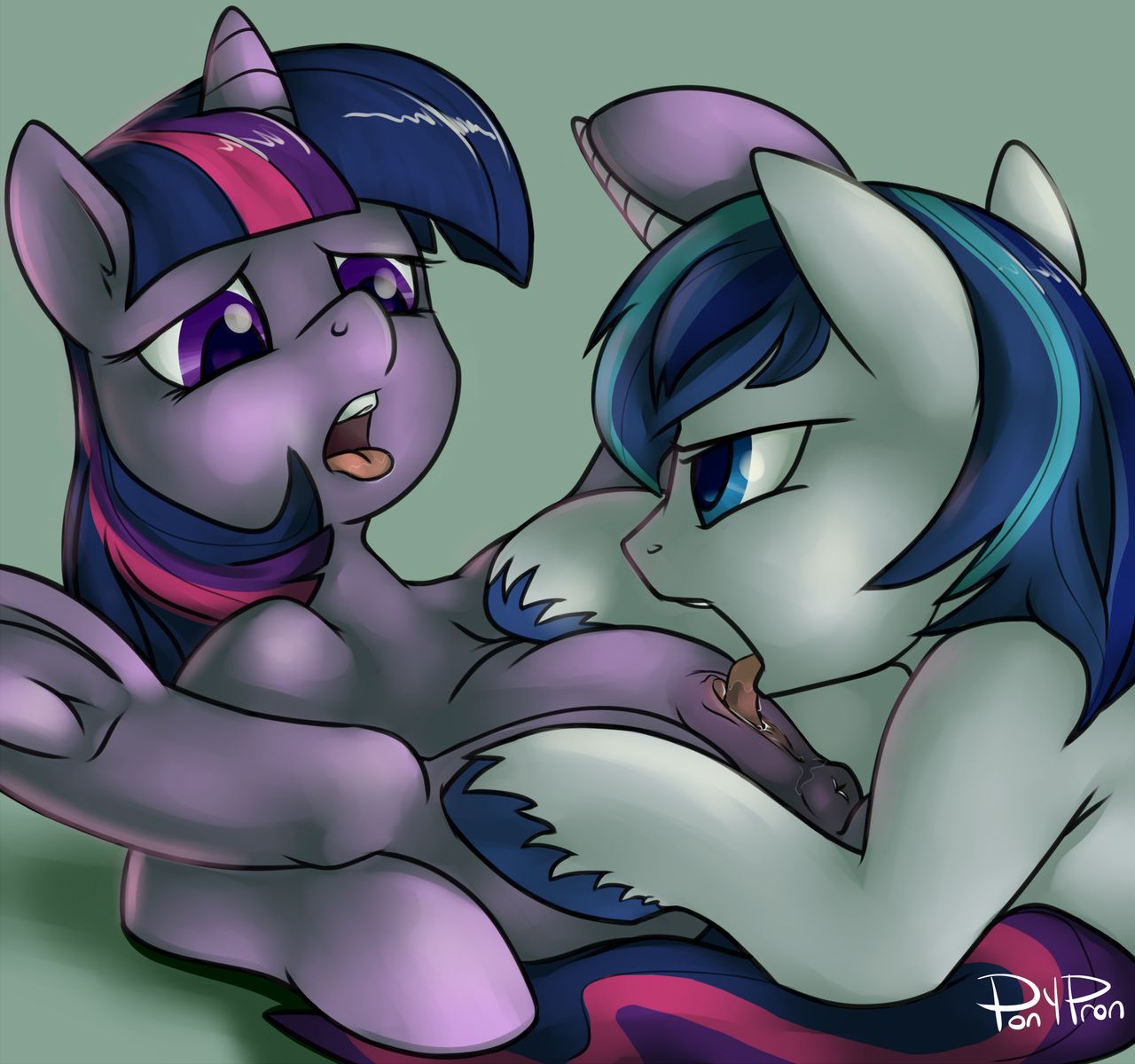 ARTIST Ponypron page 2 full