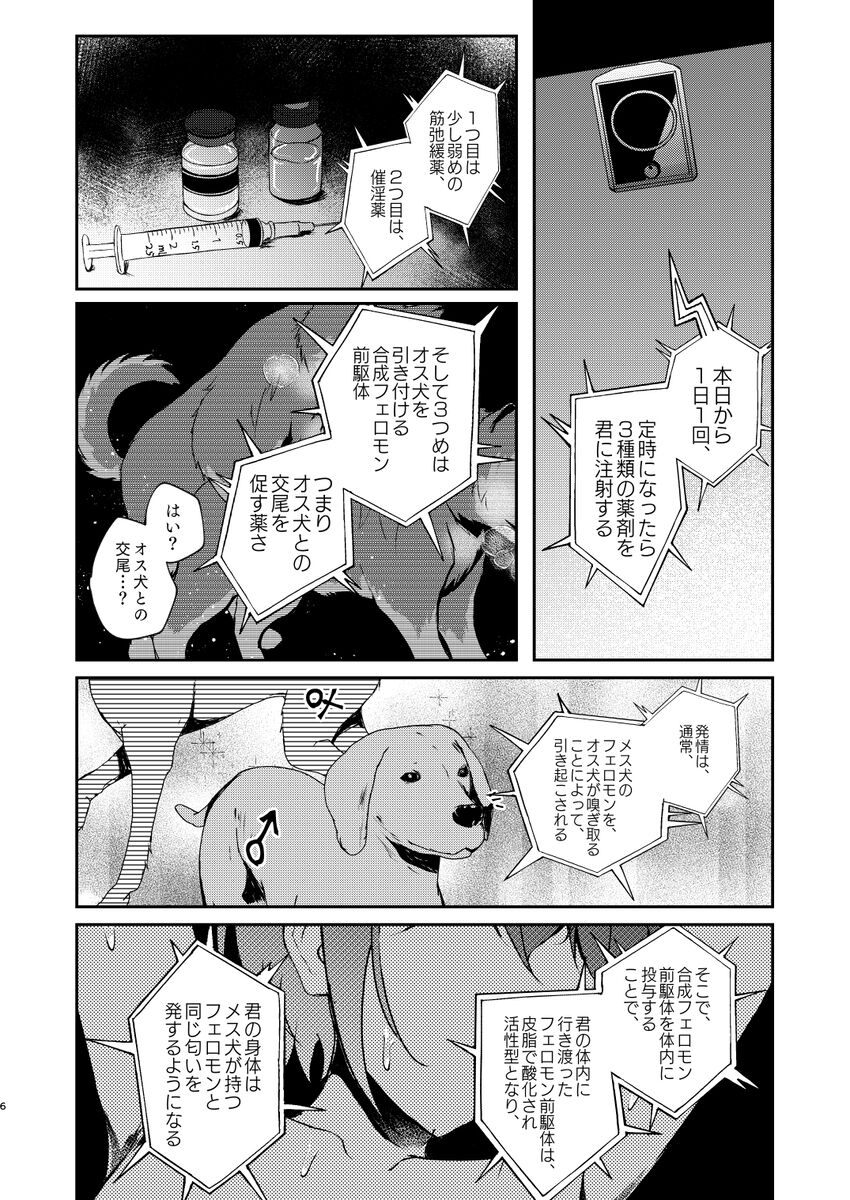 I don't approve of crossbreeding with dogs! page 4 full