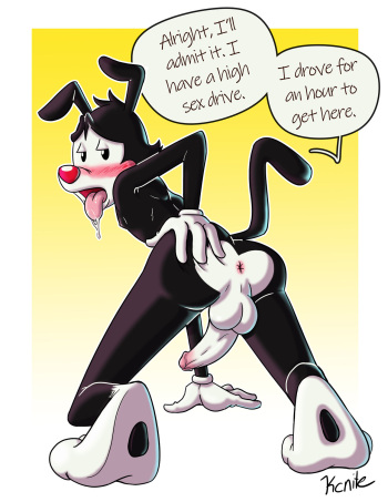 [Kcnite] Yakko Set cover