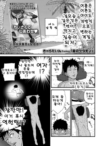[Kyaradain] Natsu no Kedamono | 여름의 짐승 (COMIC LO 2023-12) [Korean] [Digital] cover