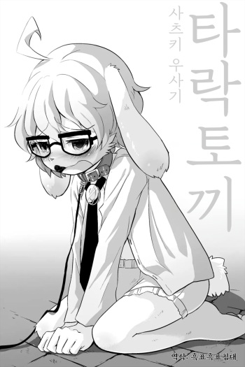 타락토끼 cover
