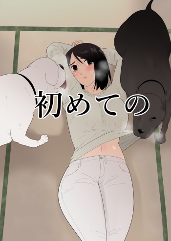 [Flare] Hajimete no [Korean] cover