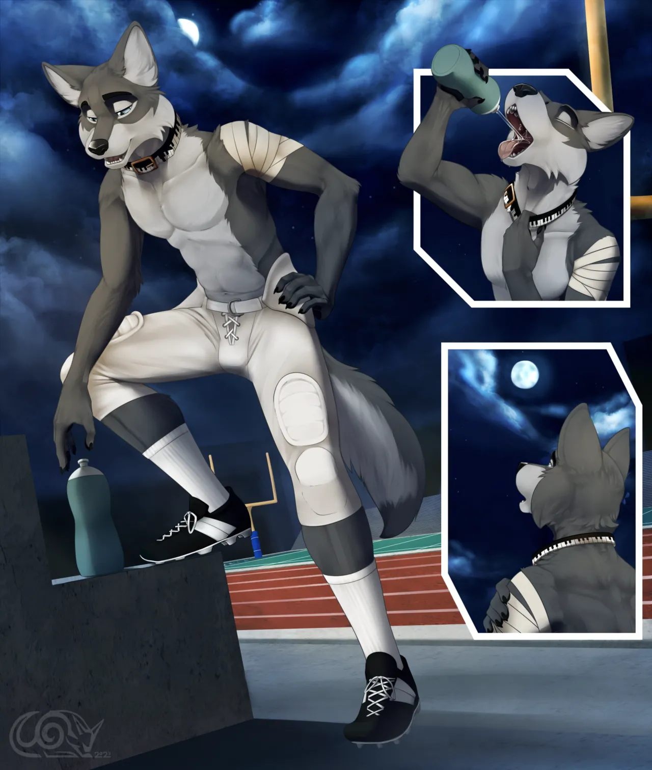 Lycan Linebacker page 1 full