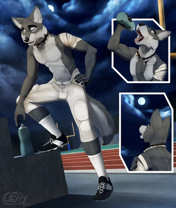 [fasttrack37d] Lycan Linebacker cover