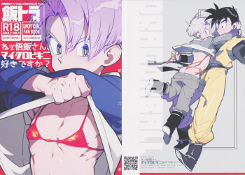 [Article 60 of Criminal Code (Shuhan)] Nee Gohan-san maikurobikini sukidesuka?  (Dragon Ball Z) cover