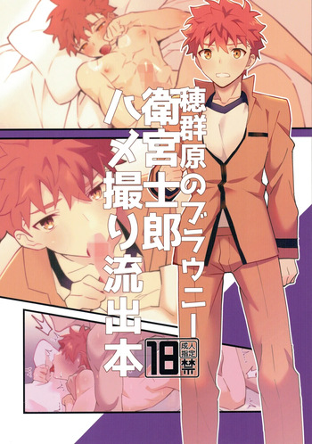 [GLUTAMIC:ACID (Tanunosuke)] 穂群原のブラウニー衛宮士郎ハメ撮り流出本 cover