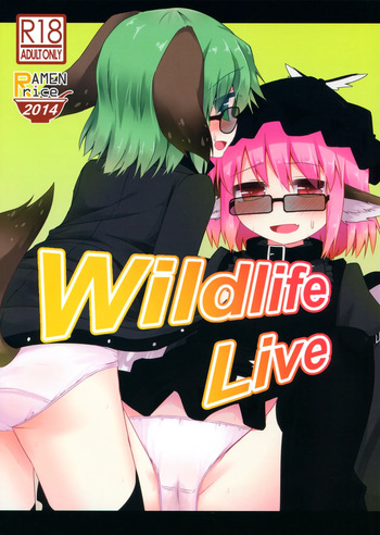 (Reitaisai 11) [Yoninisshou (Syamonabe)] Wildlife Live (Touhou Project) cover