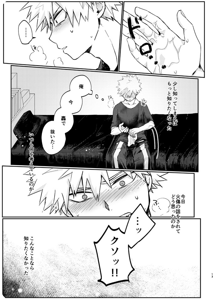 透明バイパス page 11 full