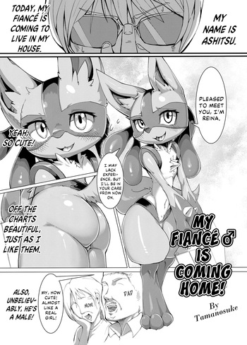 [Tamanokoshi (Tamanosuke)] Iinazuke ♂ ga uchi ni kita! | My Fiancé ♂ Is Coming Home! (Ta! Matome 2) (Pokémon) [English] [Kinsei Translations] [Decensored] [Digital] cover
