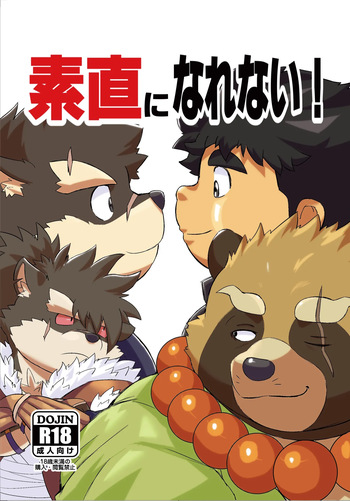 [Amekomi_Lover] 放课后里见八犬传·寿 (Tokyo Afterschool Summoners) [I Can't Be Honest!] cover