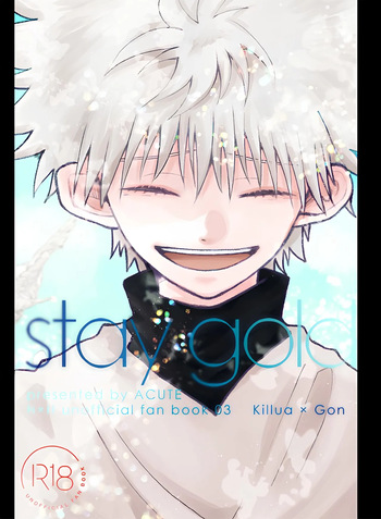 (Re:HUNTER 10) [ACUTE (siyo)] stay gold (Hunter x Hunter) cover