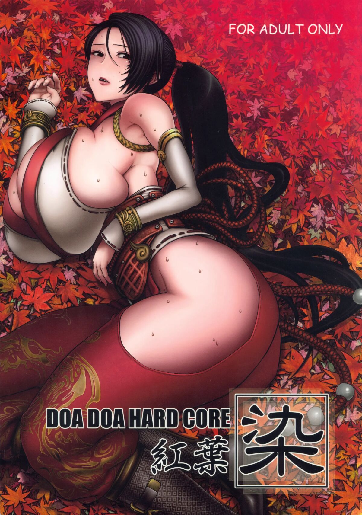 DOA DOA HARD CORE Momijizome page 1 full