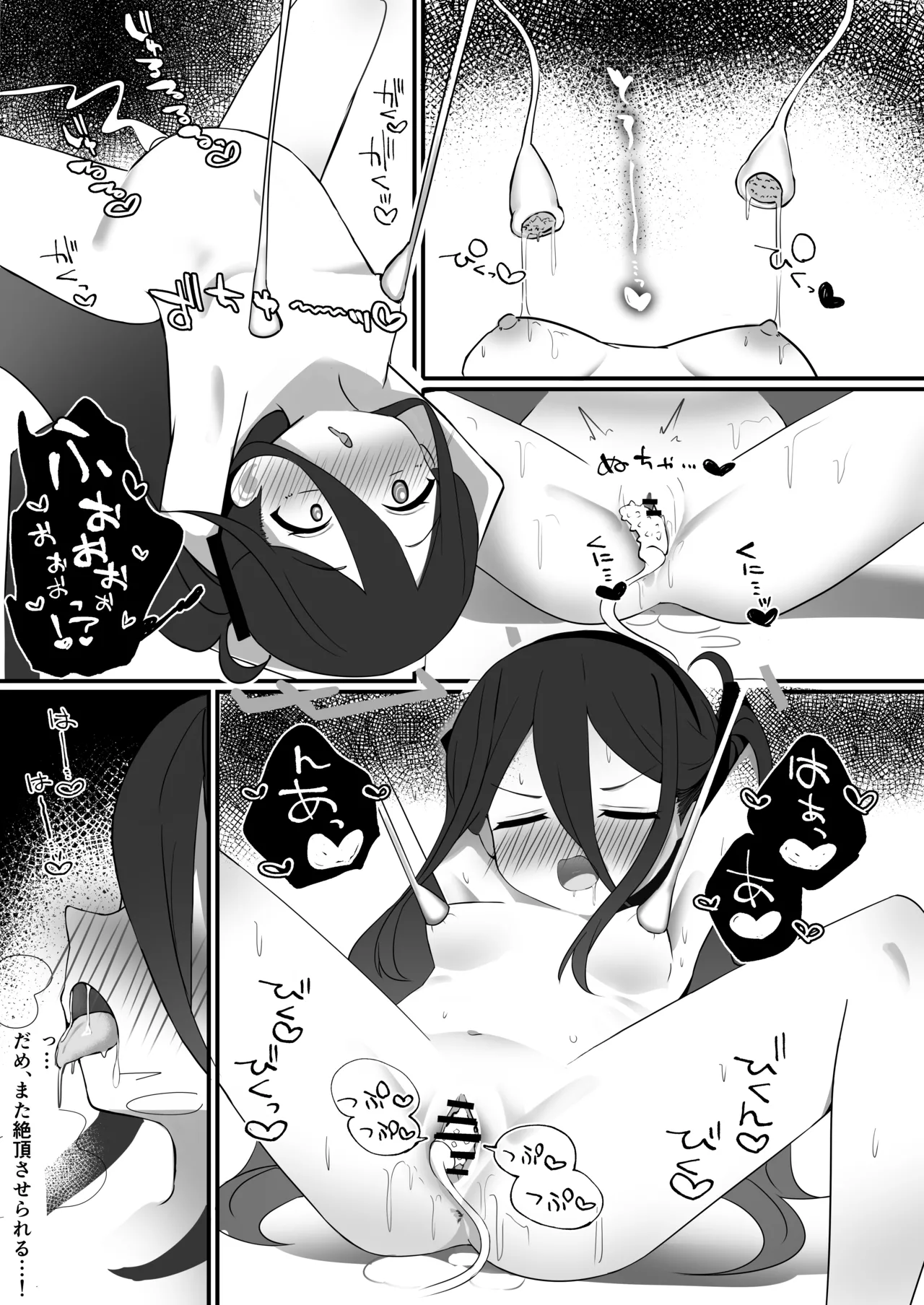 AL-1S Seishokukinou Maintenance page 11 full