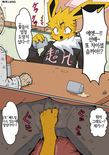 [San Ruishin] Juniors are for seniors only... (Pokemon) [Korean] [LWND] cover