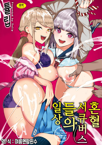 [Tulip] Konketsu Succubus tachi no Nichijou | 혼혈 서큐버스들의 일상 [Korean] [Digital] cover