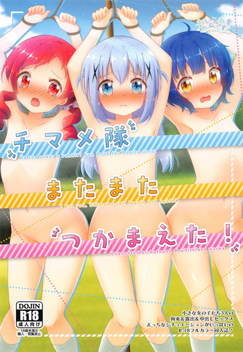 チマメ隊またまたつかまえた! cover
