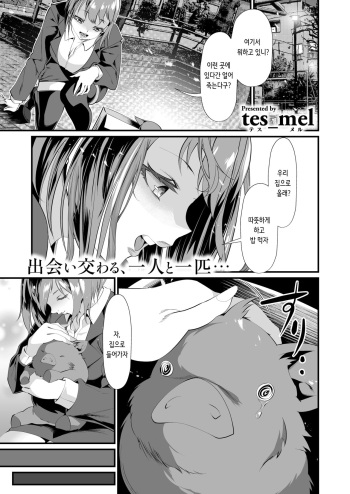 [tes_mel] Aijou Sosoide Sodateta Kekka | 애정을 담아 키운 결과 (COMIC X-EROS #114) [Korean] [Digital] cover