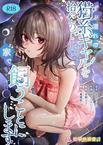 [Seika Kairaku Shoten (Nanatsurugi Nana, Chocomint)] Zubunure no Nekokei Gal o Hirotta node Ie de Kau Koto ni Shimasu [Digital] cover