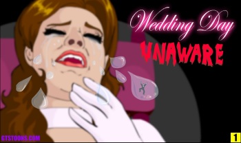 [GTStoons] - Wedding Day Unaware cover