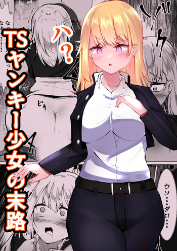 [Mamekkusei] TS Yankee Shoujo no Matsuro cover