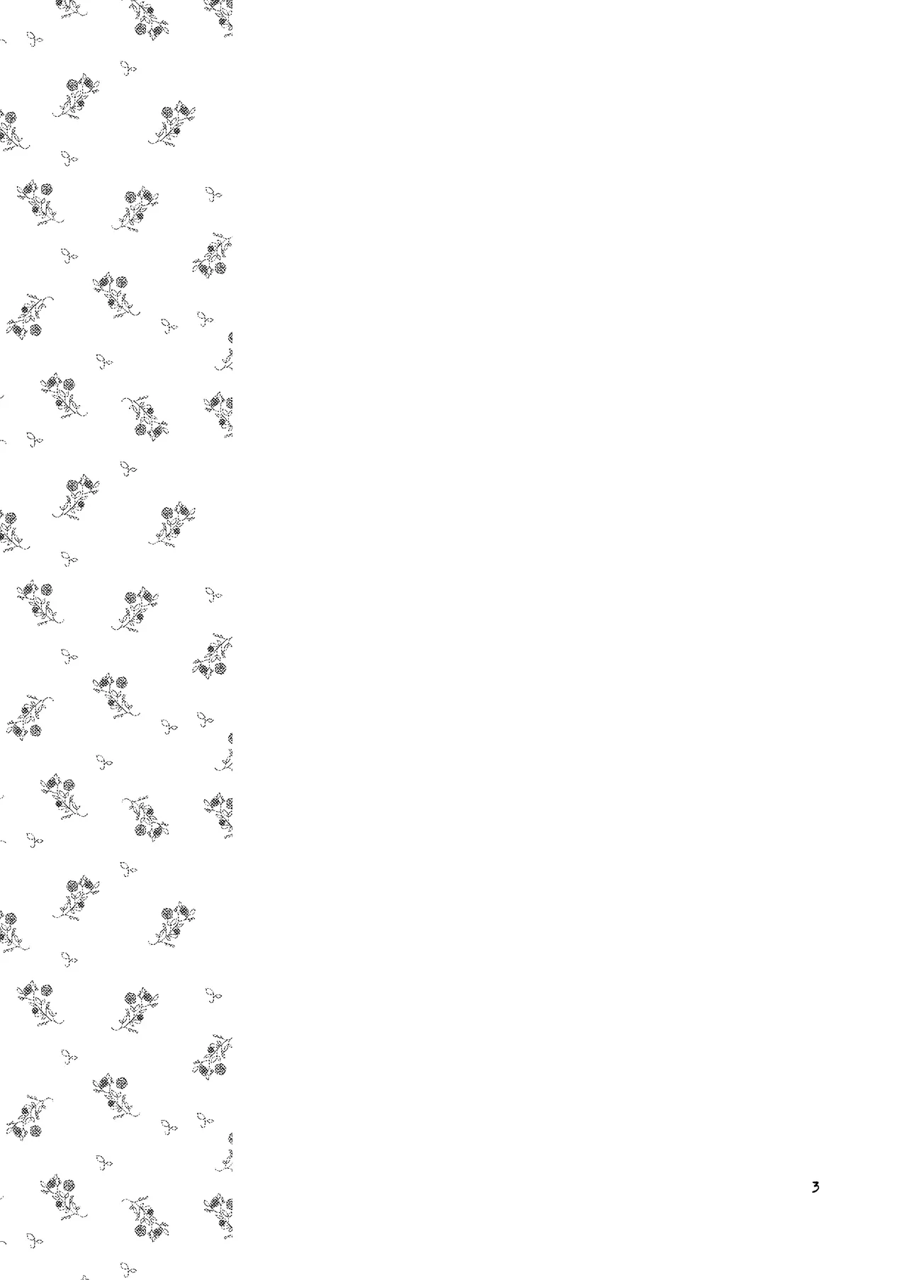 Hanakanmuri - flower crown page 3 full