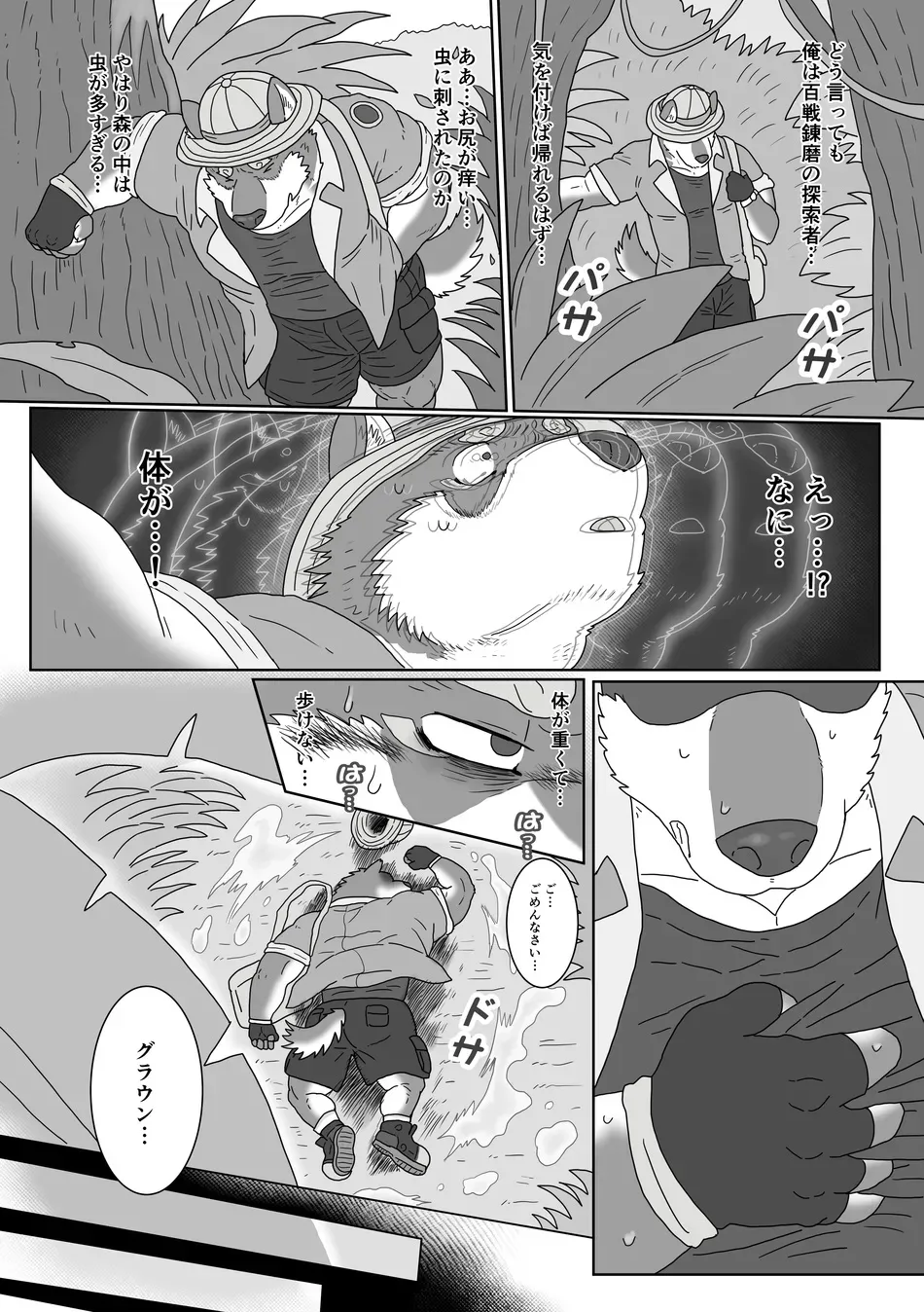 The Wild Secluded Region page 11 full
