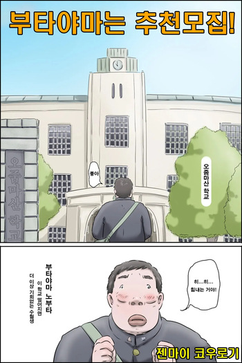 [zenmai kourogi]Butayama-kun is a special recommendation! l 부타야마는 추천모집! [Korean] cover