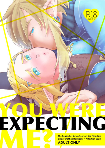 [  Affection ] EXPECTING[The Legend of Zelda) cover