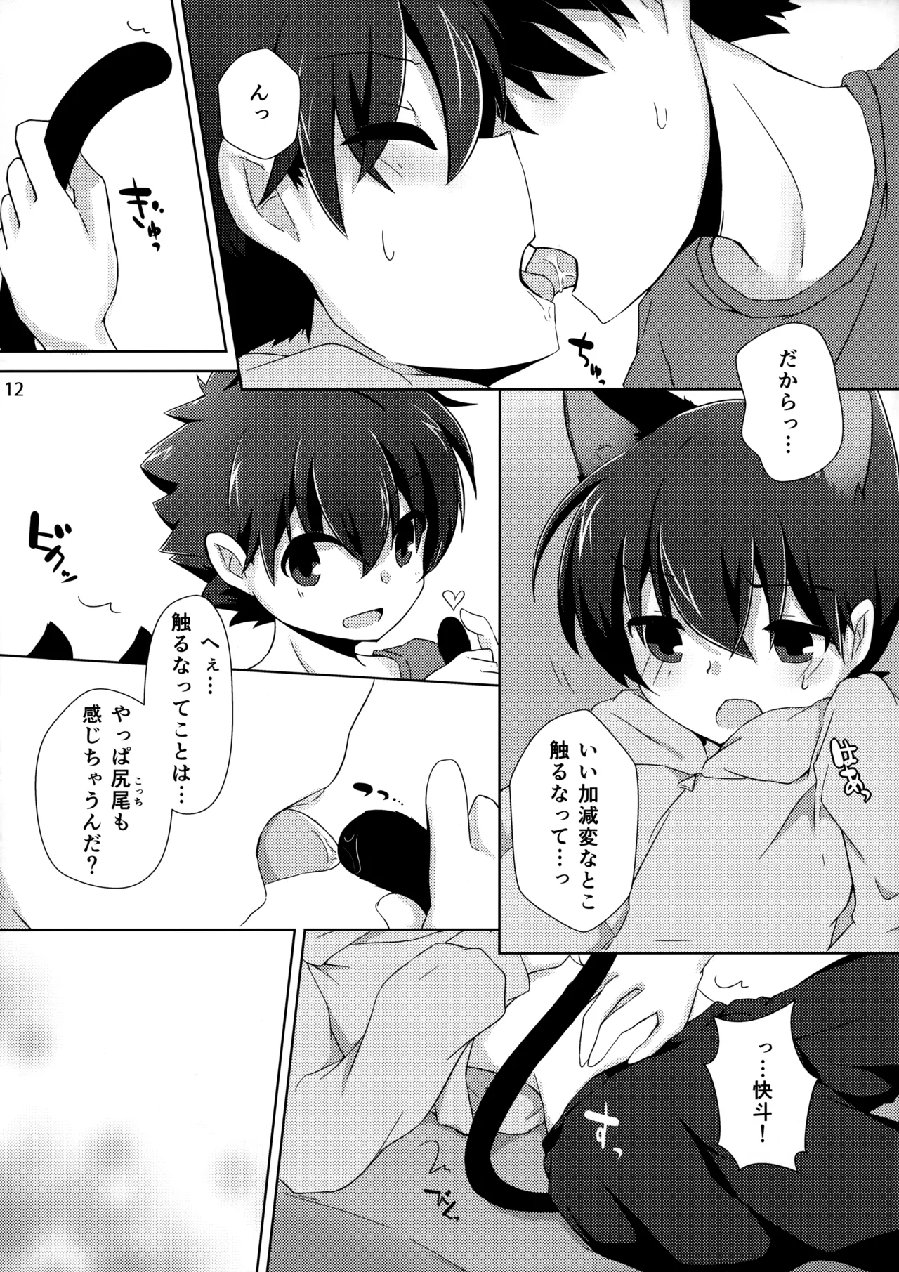 cat fancier page 11 full