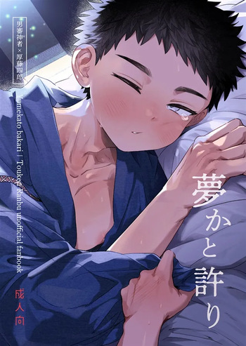 [エビハラミ (よるげ)] 夢かと許り(刀剣乱舞) [Sample] cover