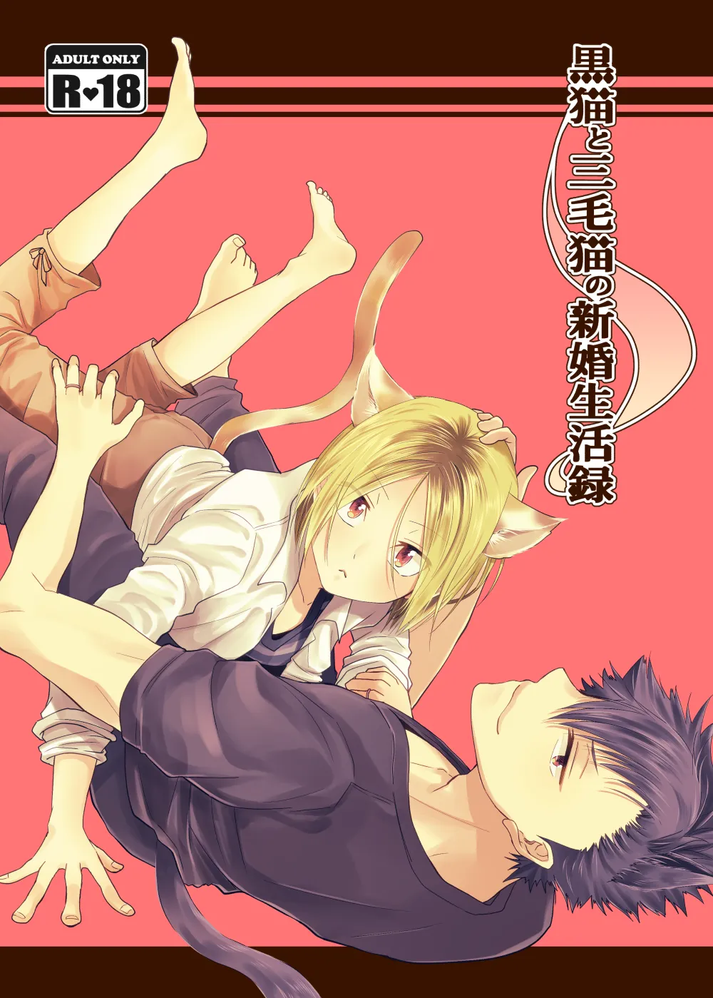 Kuroneko to Mikeneko no Shinkon Seikatsuroku page 1 full