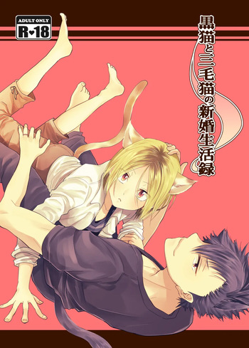 [Nabahaze (Kurosuke)] Kuroneko to Mikeneko no Shinkon Seikatsuroku (Haikyuu!!) [Digital] cover