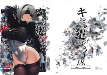 (C102) [sand (Asahiru Yuu)] Kimi o Okashitai (Nier: Automata) cover