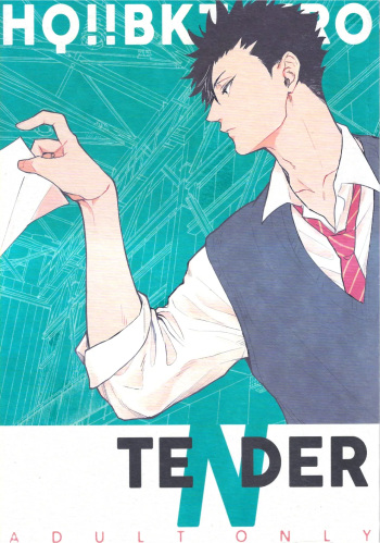 [Takamachi (Zenra)] TENDER -1st Emotion- (Haikyuu!!) cover