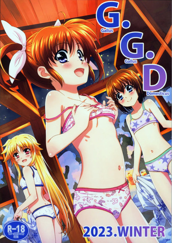 (C103) [Tamagoya (Miyajima Hitoshi)] Gallus.Gallus.Domesticus 2023.WINTER (Mahou Shoujo Lyrical Nanoha) cover