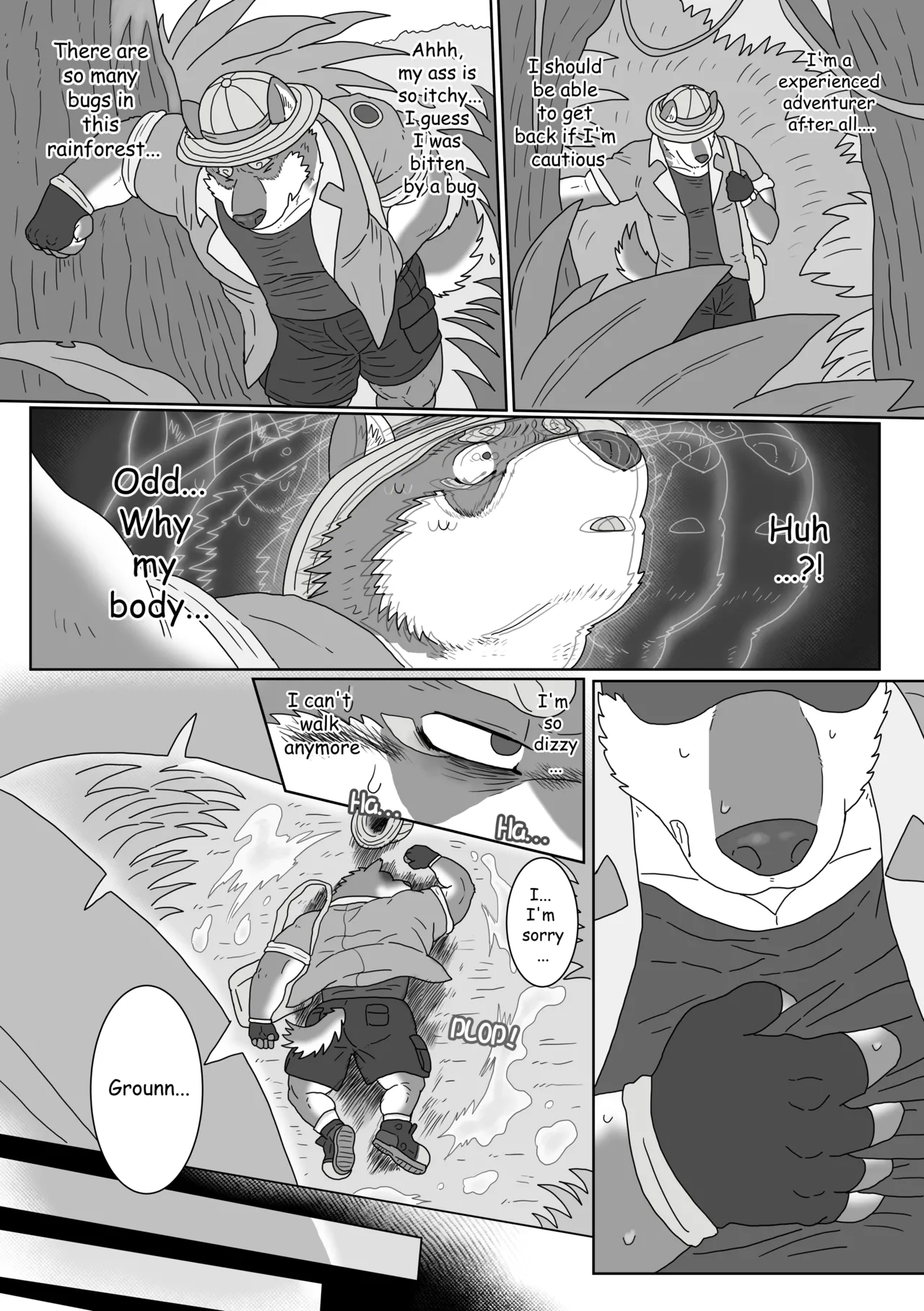 The Wild Secluded Region page 11 full