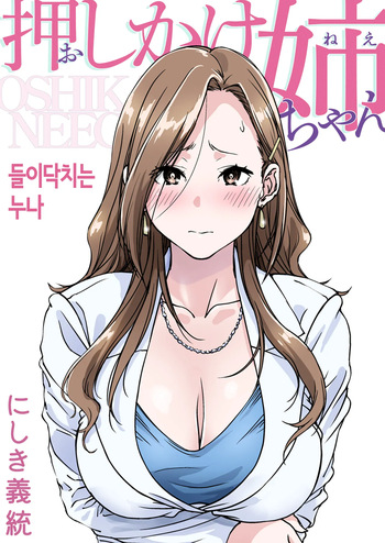 [Pakuchi (Nishiki Yoshimune)] Oshikake Nee-chan | 들이닥치는 누나 [Korean] cover