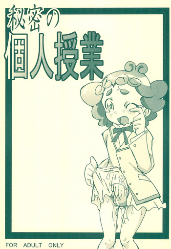 (Princess Festa 3) [Gorotaishi (Gorohati)] Himitsu no Kojin Jugyou (Fushigiboshi no Futago Hime) cover