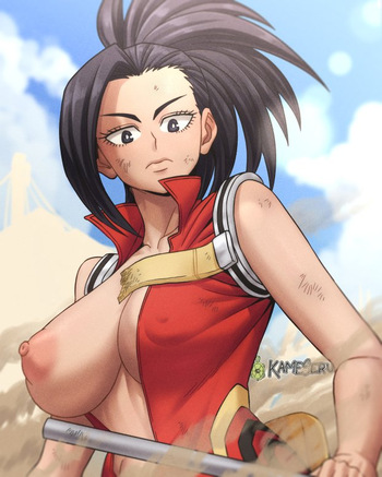 [Kameseru] My Hero Academia Collection cover