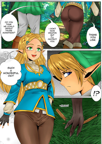 [tuksoil]  LOZ Anal Attack cover