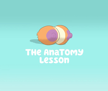 The Anatomy Lesson (Bluey) CosmosArts cover