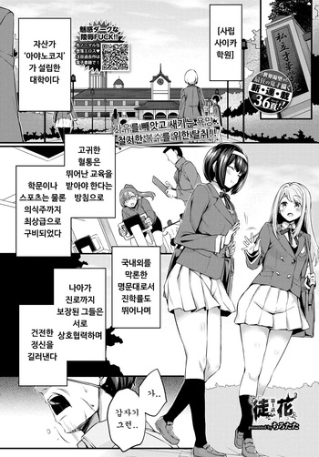 [Tirotata] Adabana Ch.1 (COMIC BAVEL 2024-07) [Korean] [Digital] cover