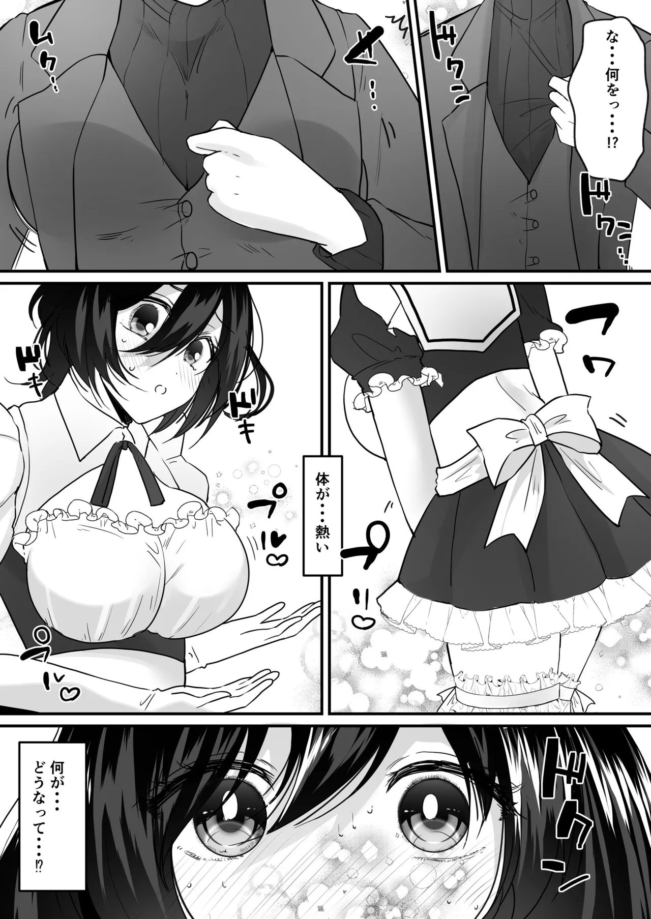 TSご奉仕メイド ～悪徳領主の監査に来たのに女体化されて性処理メイドにされました～ page 5 full
