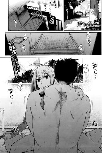 [Mizone] Shokubutsu no Sodatekata - How to raise plants (COMIC BAVEL 2016-04) [English] [InsanePraetor+4chanH] cover