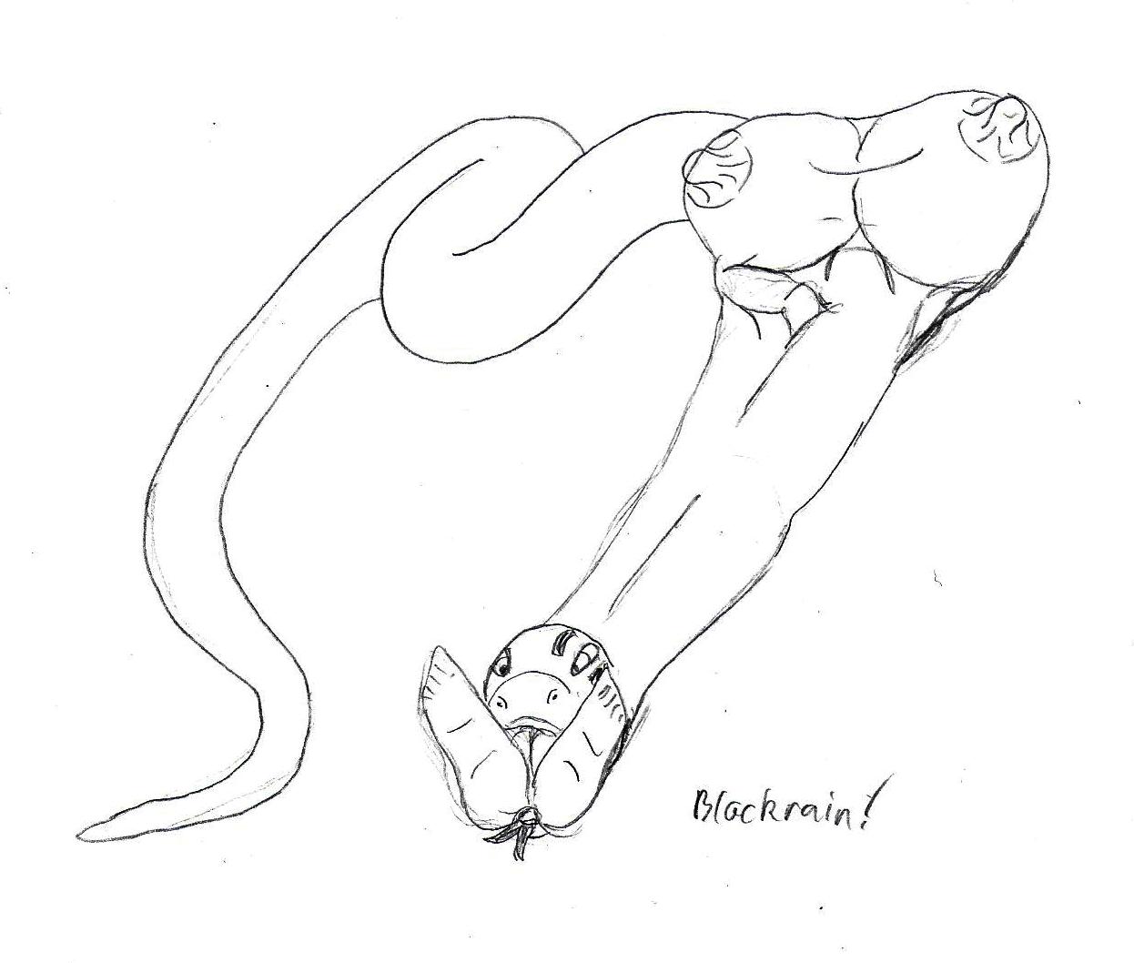 Blackrain Sketches 01 page 10 full