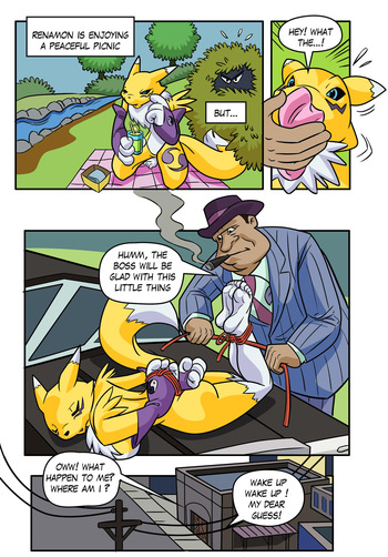Renamon Tickled By Turtelli cover