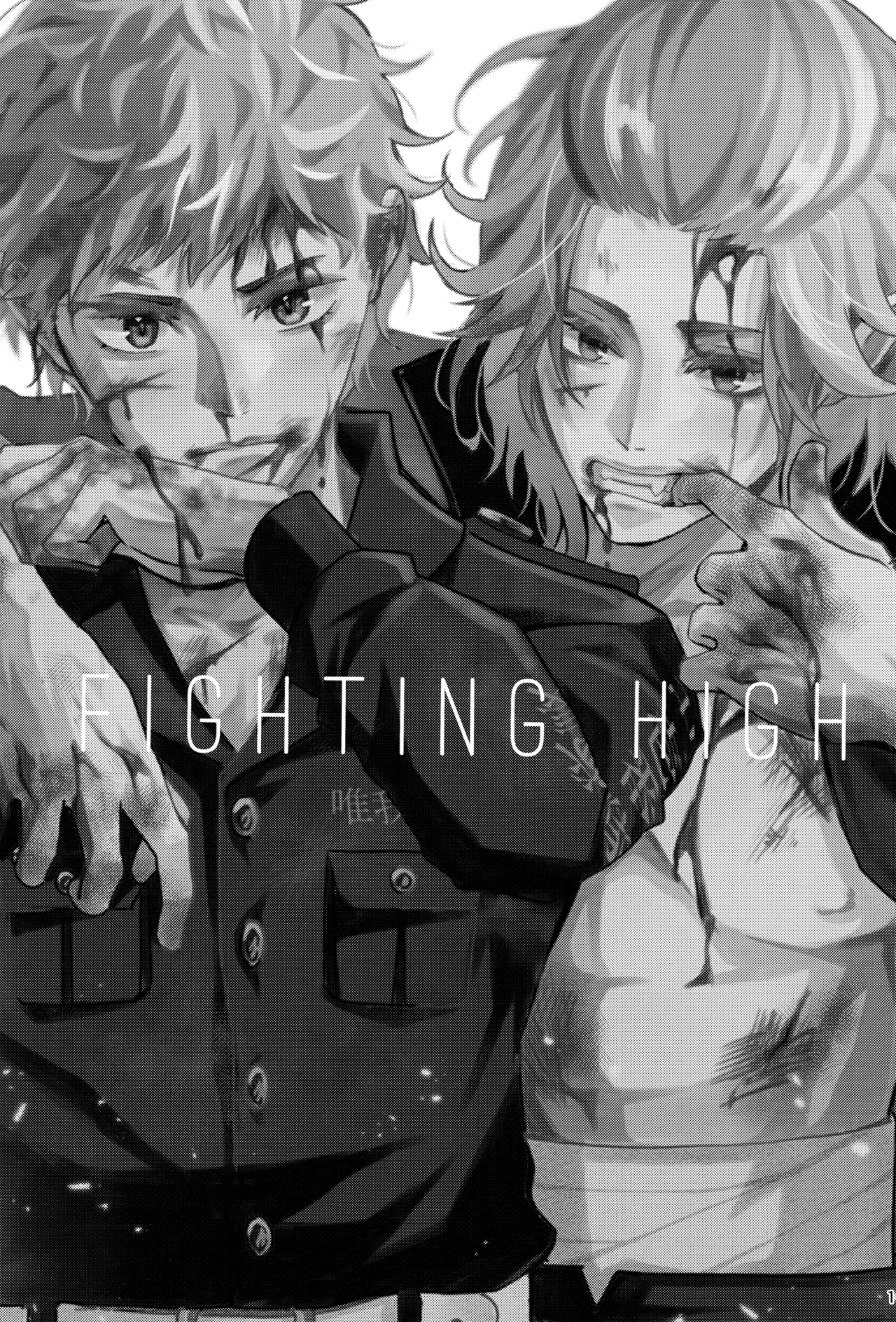 Fighting high page 2 full